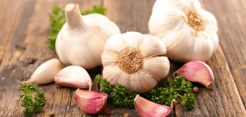 Garlic has many benefits